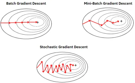 Figure 4.4: Convergence as reached in the three different Gradient Descent Scenarios