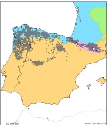 Figure 1: The distribution of  Galemys pyrenaicus,  colours indicate the biogeographical  regions with the distribution in grey (based on Article 17 reports from France, Portugal 