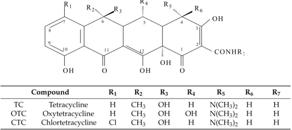 Figure 2. General chemical structure of quinolones.