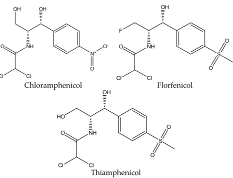 Figure 4. Chemical structure of chloramphenicol, florfenicol and thiamphenicol. 