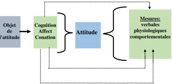 Fig. 1. Schéma structurel des attitudes. 