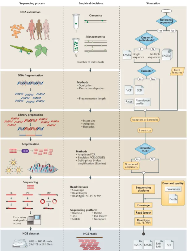 Figure 2.6: Overview of the metagenomic simulation process. [6]. The acronyms and the abbreviations of the figure are fully described in reference [6].