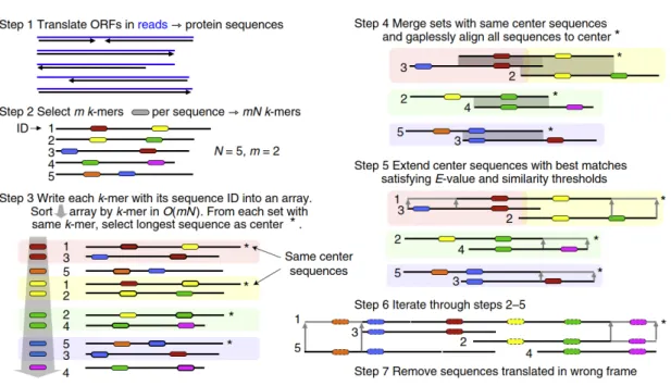 Figure 4.7: Workflow of Plass assembler [9].