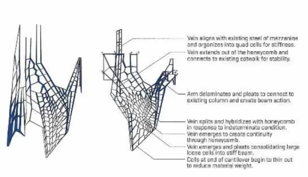 Figure 45: Dragonfly morphological generation process. (Iwamoto, L., (2009), p. 72.) 