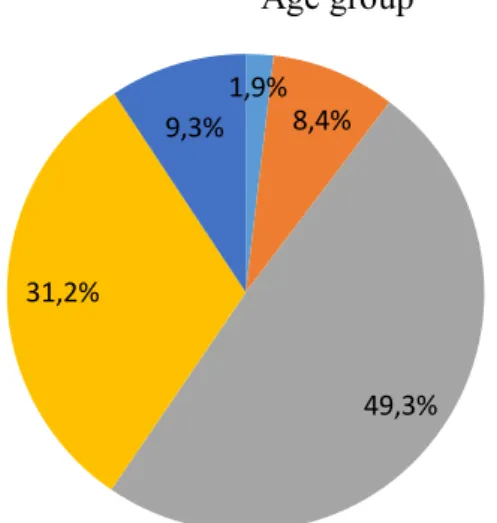 Figure 4.2: Respondents age group pie chart 
