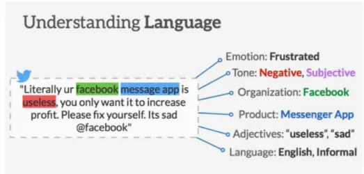 Figure 6: Understanding human language through NLU 