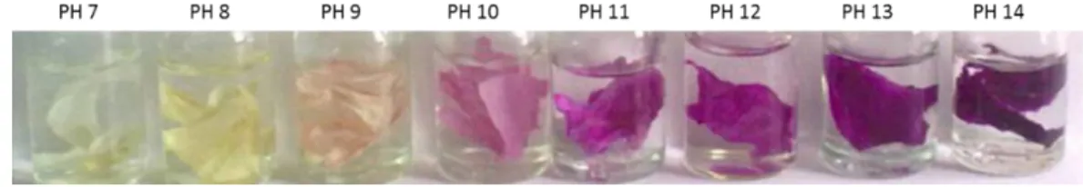 Figure 10: The color change properties of pHS-NF membranes in different pH buffer solutions