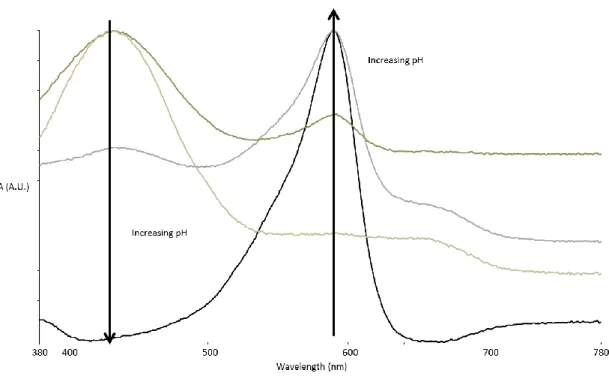 Figure 48: Acidic and alkali peak of bromocresol purple in solution, absorbance range 380nm – 780nm