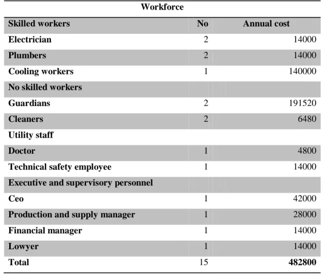 Table 7.1: Workforce and annual cost  Workforce 