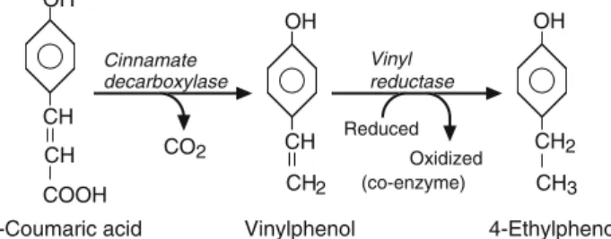 Figure 11.1.  Formation of volatile phenolics from hydroxycinnamic acids. Copyright ©  Society of Chemical Industry