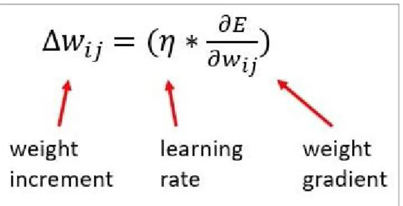 Figure 20.  ​ The weight update that gets applied in each pass 