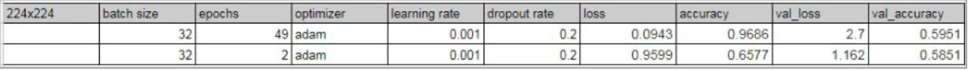 Figure 61. ​  The top performing trained EfficientNet B0 models