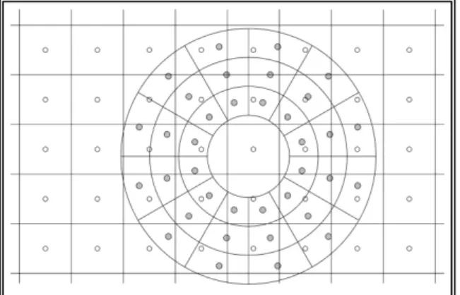 Figure 4.10.1 A 2-D cylindrical grid (Slave) overlapped by an orthogonal Cartesian     grid (Master)  