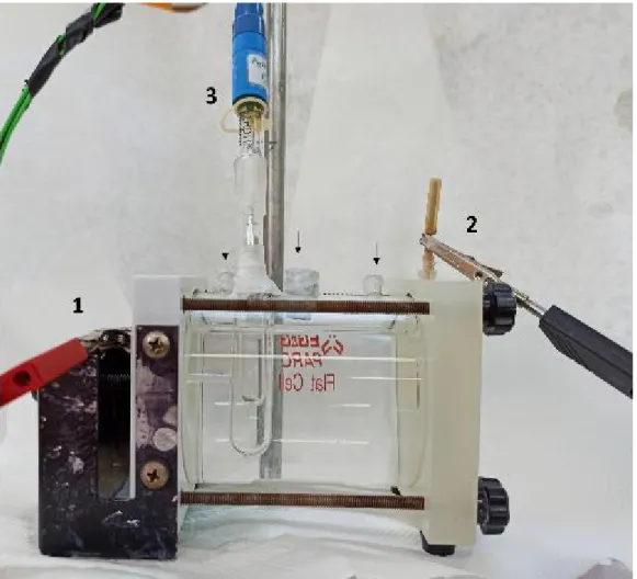 Figure 8: Half-Cell test configuration; (1) Working Electrode (Coated CC) (2) Counter  Electrode (Platinum Mesh) (3) Reference Electrode (Ag/AgCl)  