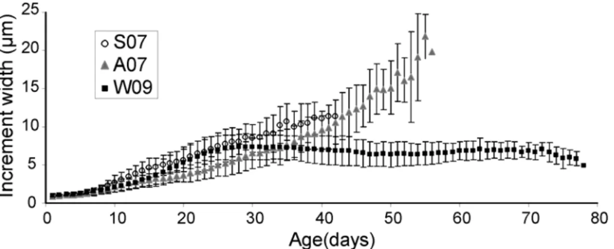 Figure 4.3 Mean otolith width at age (days) of anchovy late larvae from the three sampling  periods
