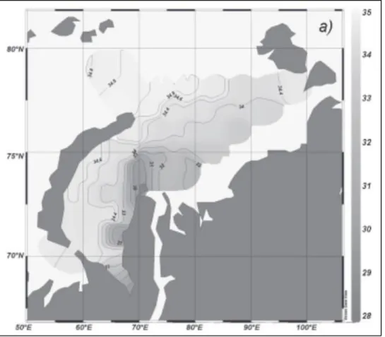 Figure 10. Bottom salinity of Kara Sea in 2007 (Ermakova, Novikhin 2011). 