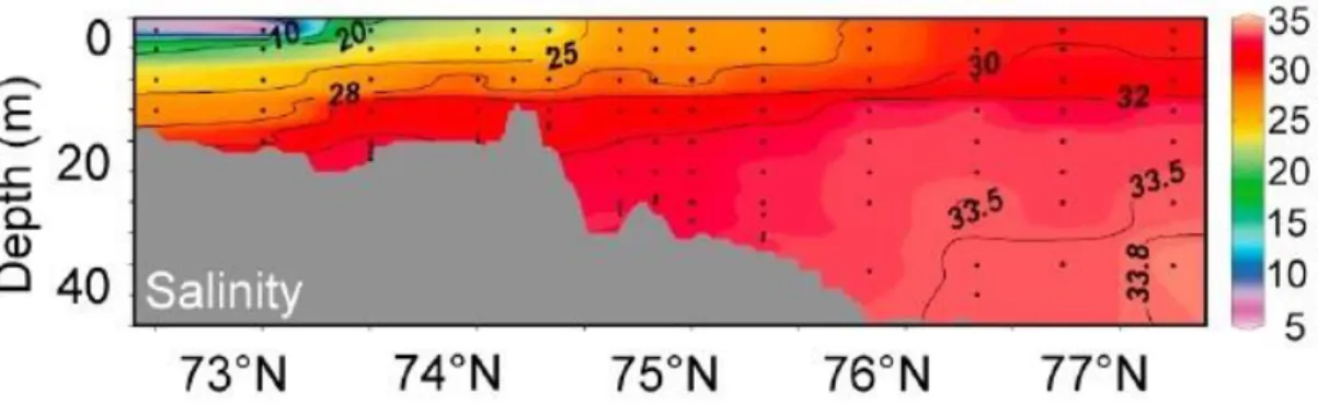 Figure 13. Salinity distribution on a south‐to‐north oriented section in Laptev sea in  2007 (Bauch et al
