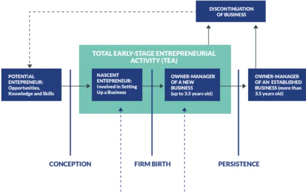 Figure 1. GEM Entrepreneurship Indicators 