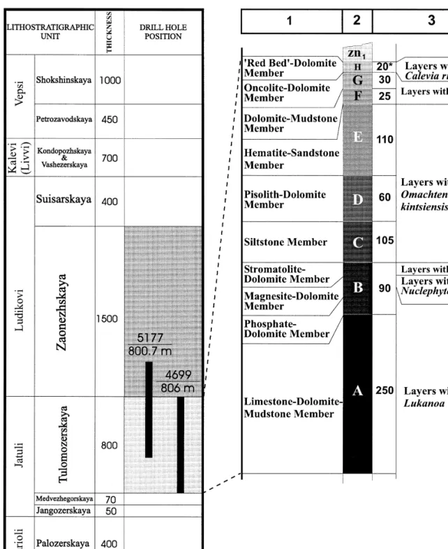 Fig. 7. Stratigraphic position of the studied drill holes and lithostratigraphical subdivisions of the northern Onega Lake area as suggested by: