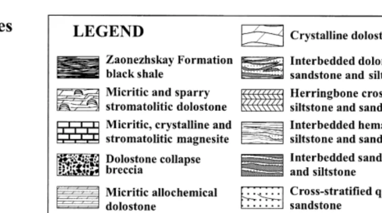 Fig. 8. Lithofacies and the main stromatolite morphologies vs. stratigraphy, drill hole 4699