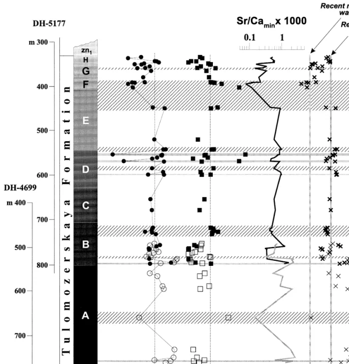 Fig. 12. Sr concentration, Mn r Sr, Sr r Ca dol in rocks and Sr r Ca s in solution ratios as a function of depth for the complete sequence of the Tulomozerskaya Formation in the northern Onega Lake area