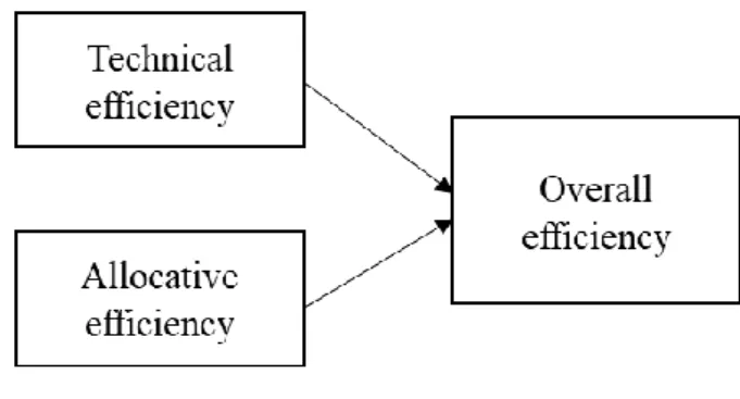 Figure 1: Types of Efficiency  Source: made by the author 