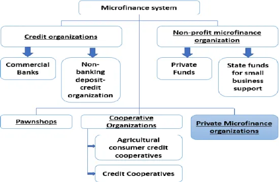 Figure 2: Structure of the microfinance segment in Russia 31