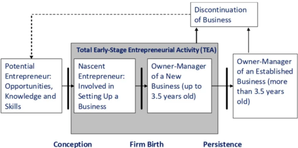 Figure 2. Entrepreneurial process and GEM’s basic terms 