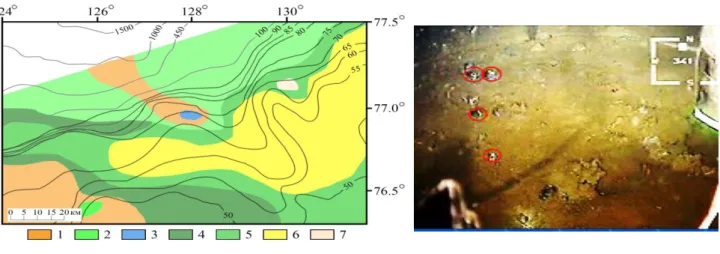 Fig. 2. Bottom sediments 