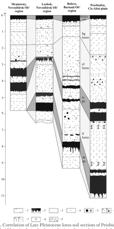 Fig. 1. Correlation of Late Pleistocene loess-soil sections of Priobie Loess Plateau and  Cis-Altai Plain