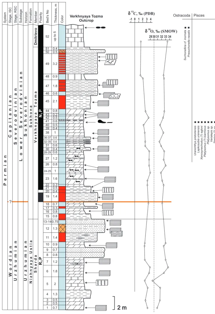Fig. 8. Verkhnyaya Tozma section with lithological, isotopic, and paleontological data.