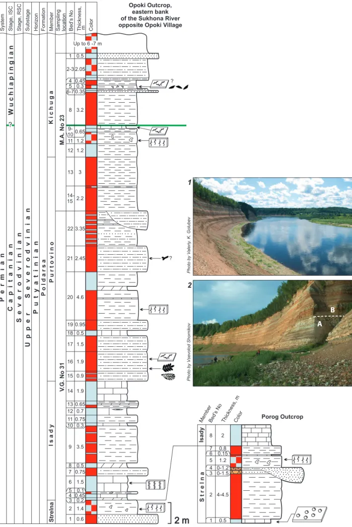 Fig. 11. Opoki section with lithological data. 1 –  left bank of the Sukhons River, view to the south   on the right bank and the village of Opoki; ruins of the dam built by prisoners of Stalin’s prison camp “Opokstroy” 