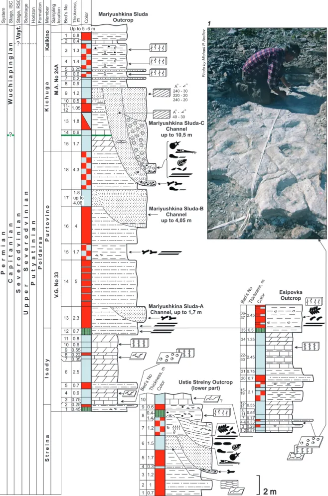 Fig. 12. Mariyushkina Sluda, Ustie Strelny, and Esipovka sections with lithological and paleontological data