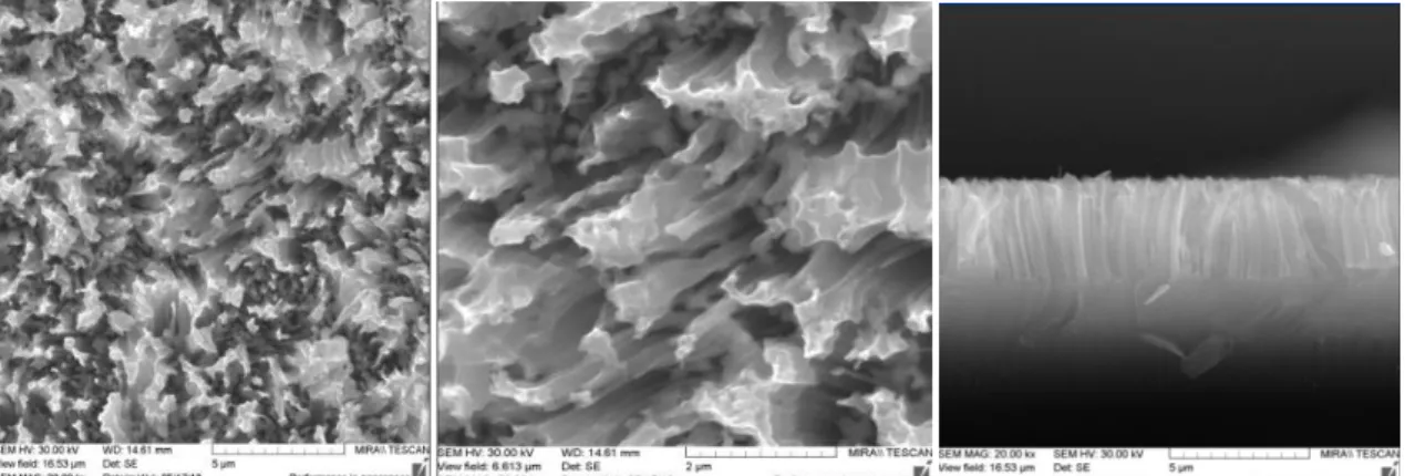 Figure 1. Surface morphology and of the end face of a porous silicon sample, etching time 60  minutes
