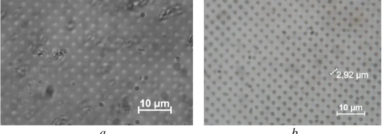 Figure 1. Optical micrographs of irradiated PET film (a) and generated   regular TM (b)