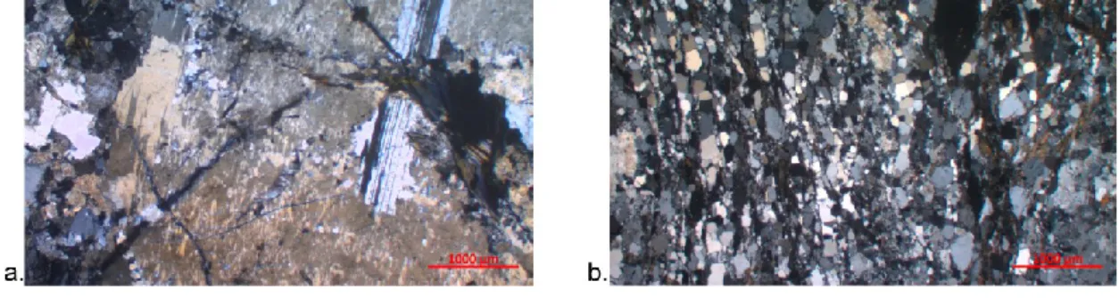 Fig.  1.  Microphotos  of  the  studied  rocks:  a  –  metagranites,  b  –  blastomylonites;  crossed  polars