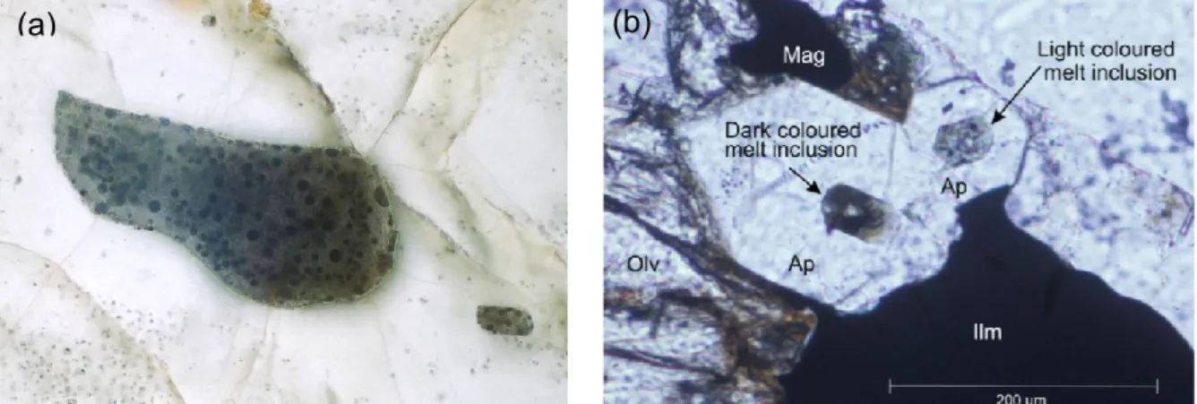 Fig. 1. Liquid immiscibility microtextures in volcanic and plutonic rocks. (a) Emulsion of Fe- Fe-rich droplets in Si-Fe-rich glass trapped as inclusion in plagioclase crystal