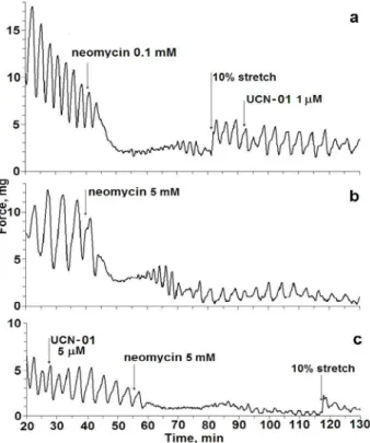Fig. 1. Comparative effects of neomycin at concentrations of 0.1 mM (a)  and 5 mM (b) and under the combined action of neomycin with the PKC  inhibitor UCN-01 at concentrations of 1 µ М (a) and 5  µ М (c) on the  re-gime of isometric force auto-oscillation