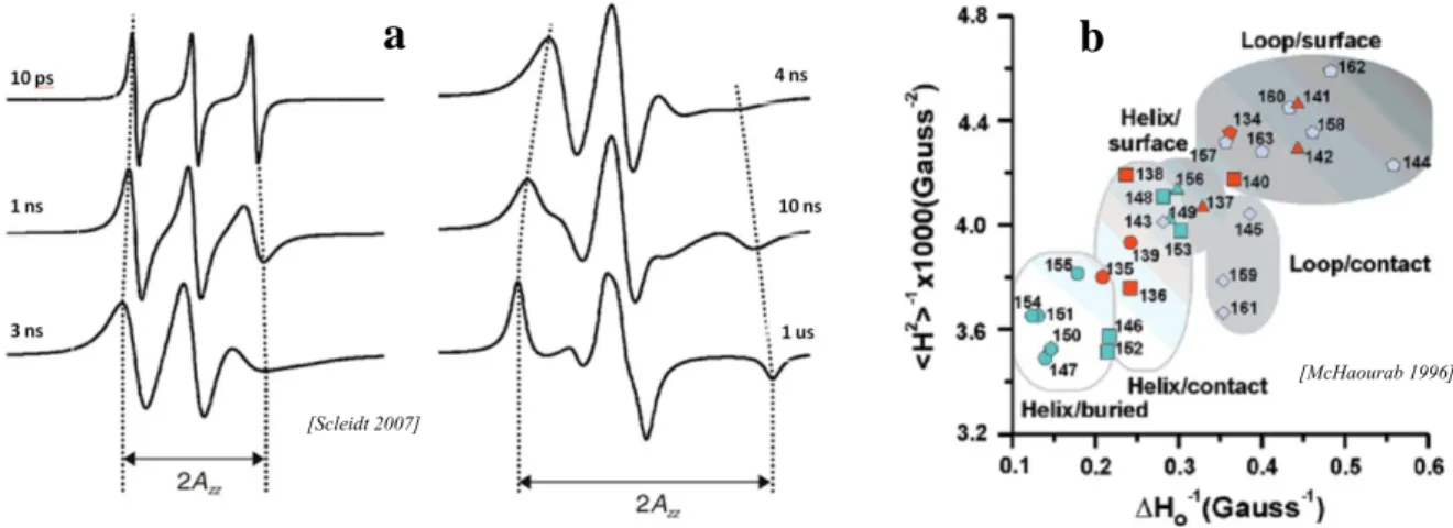 Figure 4. a) Simulated spectra for isotropic rotation with different correlation times