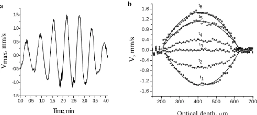 Fig. 2. Time dependence of axial velocity of cytoplasm flow in the Physarum  strand under the influence of CO 2 