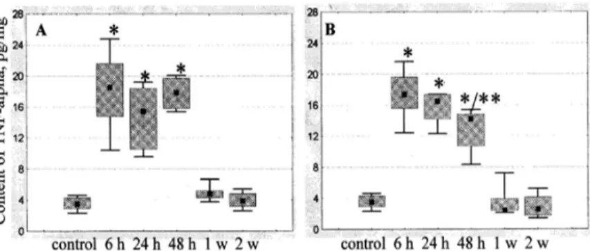 Fig 3. Content of TNF-alpha in skeletal muscle after trauma (positive control)  (A) and after US treatment of traumatized tissue (B): 