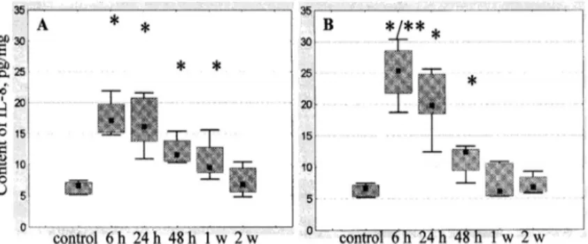 Fig 2. Content of IL-8 in skeletal muscle after trauma (positive control)  (A) and after US treatment of traumatized tissue (B):  
