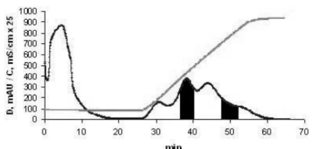 Fig. 1. DEAE-cellulose chromatography of myofibrillar protein  extract with gradient of NaCl concentration