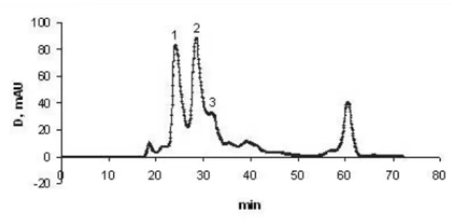 Fig. 3. Electrophoresis in 5% PAAG with DDS of purified myo- myo-fibrillar proteins stimulating MGF expression in myoblasts