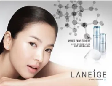 Figure 28 Example of suggested type of advertising material that can appeal to target group  (Laneige official site 2020) 