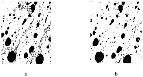 Figure  2.6.  Differences  in  resolving  water  body  shape:  a.  Binary  image  based  on  RapidEye  data; b