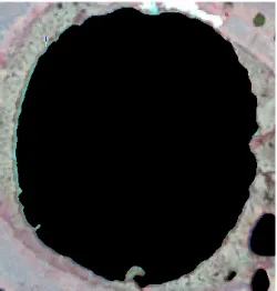 Figure  2.7.  Lake  on  SENTINEL-2  image  covered  by  mask,  filtering  method  (SAGA  majority  filter  window 3*3 pixel)*OTB binary morphological filter opening with structuring element ball with r=1