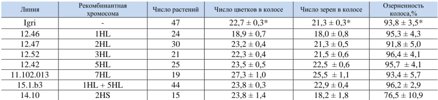 Table 2. Characteristic of the spike graininess of introgressive lines, Pushkin, 2017