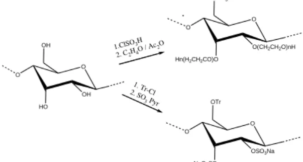 Fig. 1. Scheme for producing amphiphilic derivatives of cellulose sulfate 