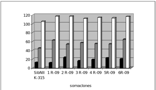 Fig. Characters of new breeding material of soybean 